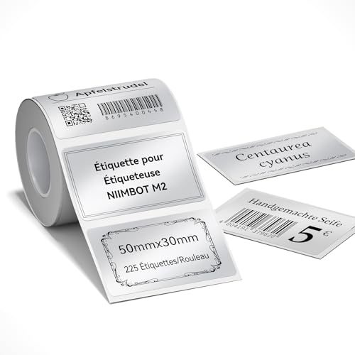 NIIMBOT B1 Étiqueteuse Portable